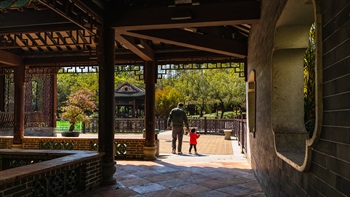 Lingnan Gardens at Lai Chi Kok Park was constructed in classical Lingnan style. The many pavilions and shaded walkways provide a comfortable environment to stroll around.